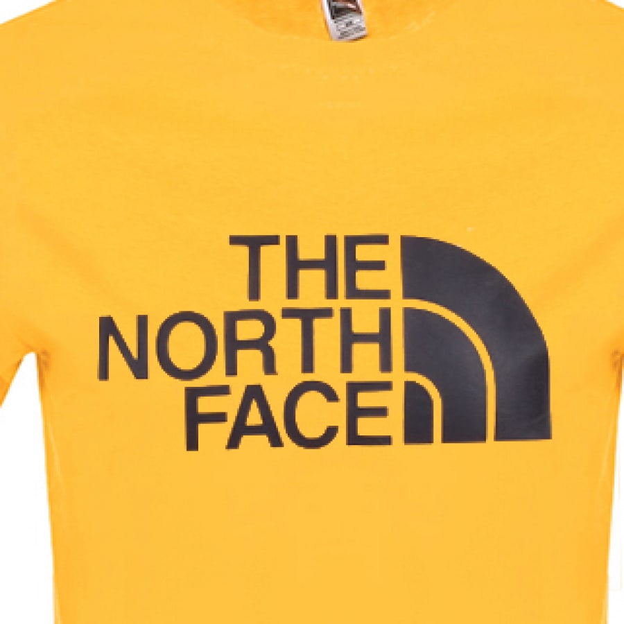 Alternative Image for ProductThe North Face Easy T Shirt Yellow3